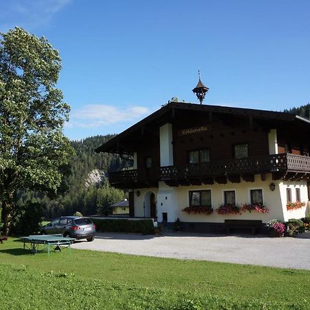 Gastehaus Soldanella Hotel Ramsau am Dachstein Eksteriør billede